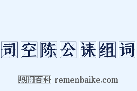 司空陈公诔组词是什么意思的图片
